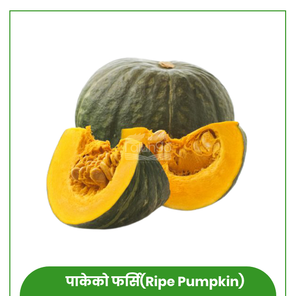 https://palungo.com/cms_palungo/upload/images/0666-2021-07-31.jpg
