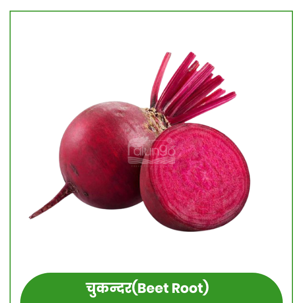 https://palungo.com/cms_palungo/upload/images/4224-2021-08-03.jpg