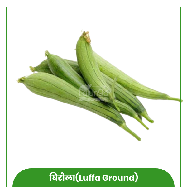 https://palungo.com/cms_palungo/upload/images/4725-2021-08-08.jpg