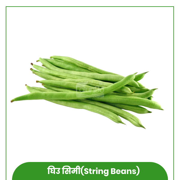 https://palungo.com/cms_palungo/upload/images/4740-2021-07-31.jpg