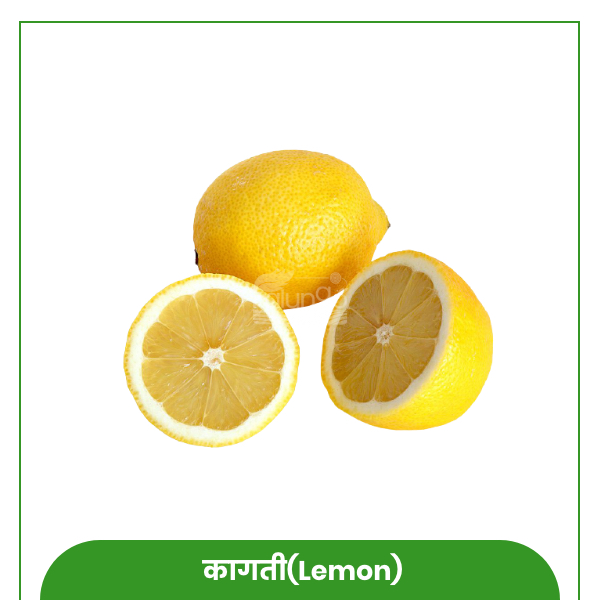 https://palungo.com/cms_palungo/upload/images/4903-2021-08-03.jpg