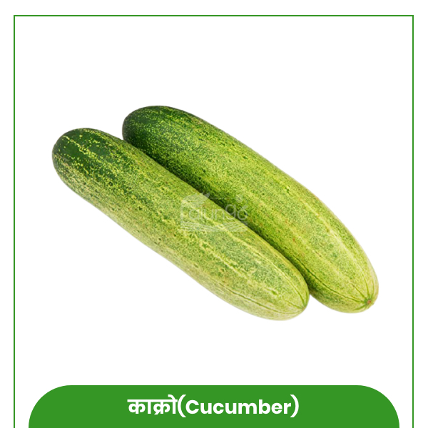 https://palungo.com/cms_palungo/upload/images/6591-2021-08-03.jpg