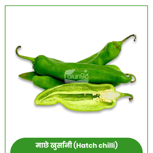 https://palungo.com/cms_palungo/upload/images/8095-2021-08-08.jpg
