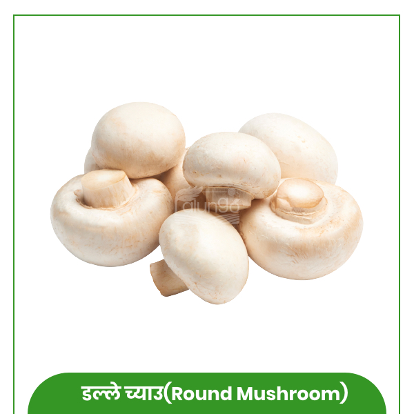 https://palungo.com/cms_palungo/upload/images/8098-2021-08-03.jpg