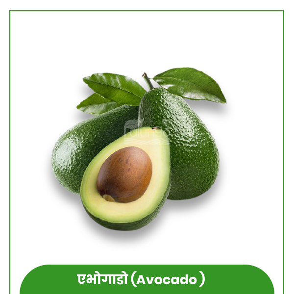 https://palungo.com/cms_palungo/upload/images/9118-2021-08-21.jpg